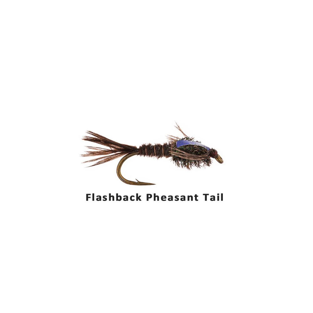 FLASHBACK PHEASANT TAIL 12