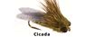 Cicada size 8 Dry Fly