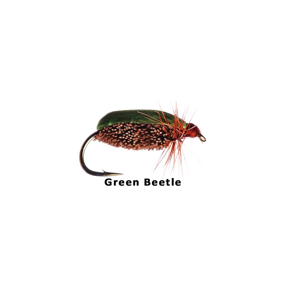 Green Beetle 12 