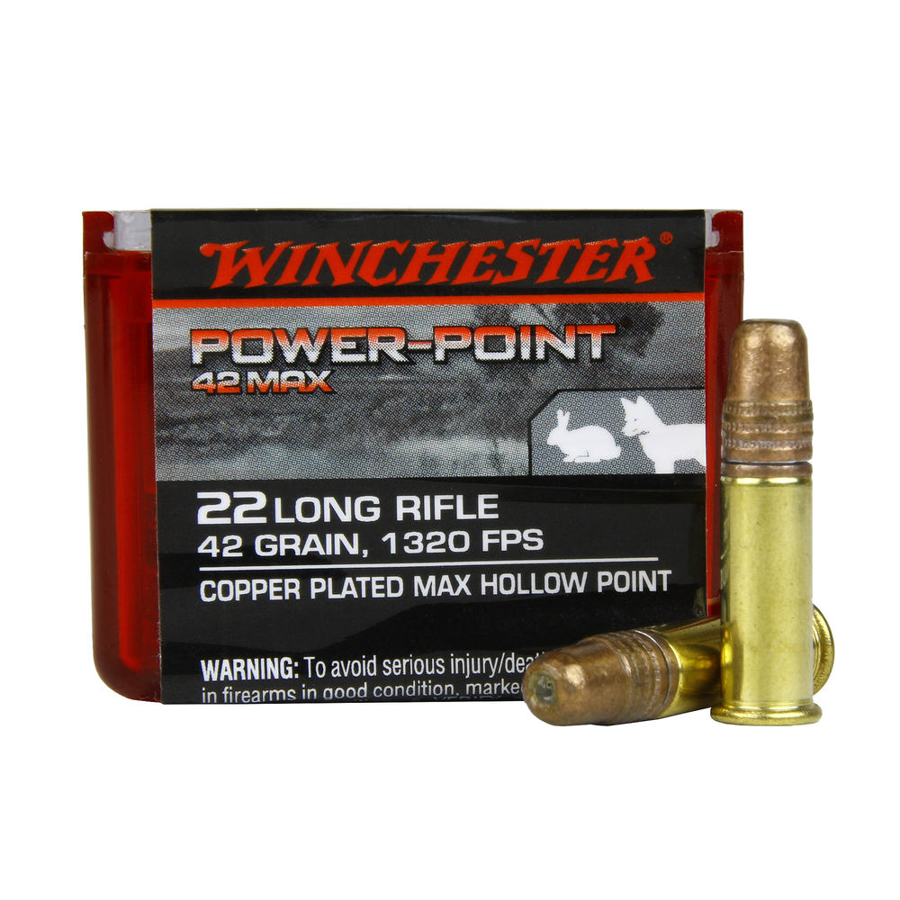 WINCHESTER POWER POINT MAX .22 42gr