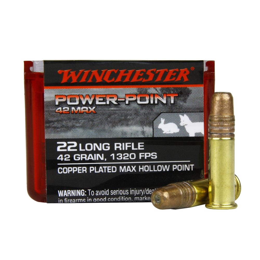 WINCHESTER POWER POINT MAX .22 42gr