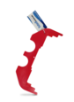 SNA1 FISH MEASURE