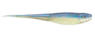 THE JERK 7" 3PK RAPALA CRUSH CITY 