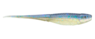 THER JERK 5" 5PK - RAPALA CRUSH CITY