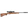 RUGER 10/22 BLUED SPORTER PACKAGE