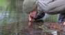 1500L TRAILMATE WATER FILTER STRAW