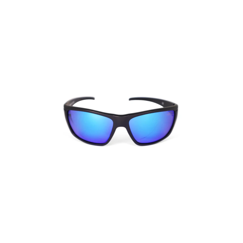 2020 POLARIZED SUNGLASSES PC FRAME MATTE BLACK