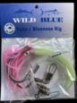 PUKA RIG WITH OCTOPUS SKIRT 300LB /150LB