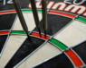 PRO SFB DARTBOARD - WINMAU