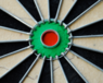 PRO SFB DARTBOARD - WINMAU