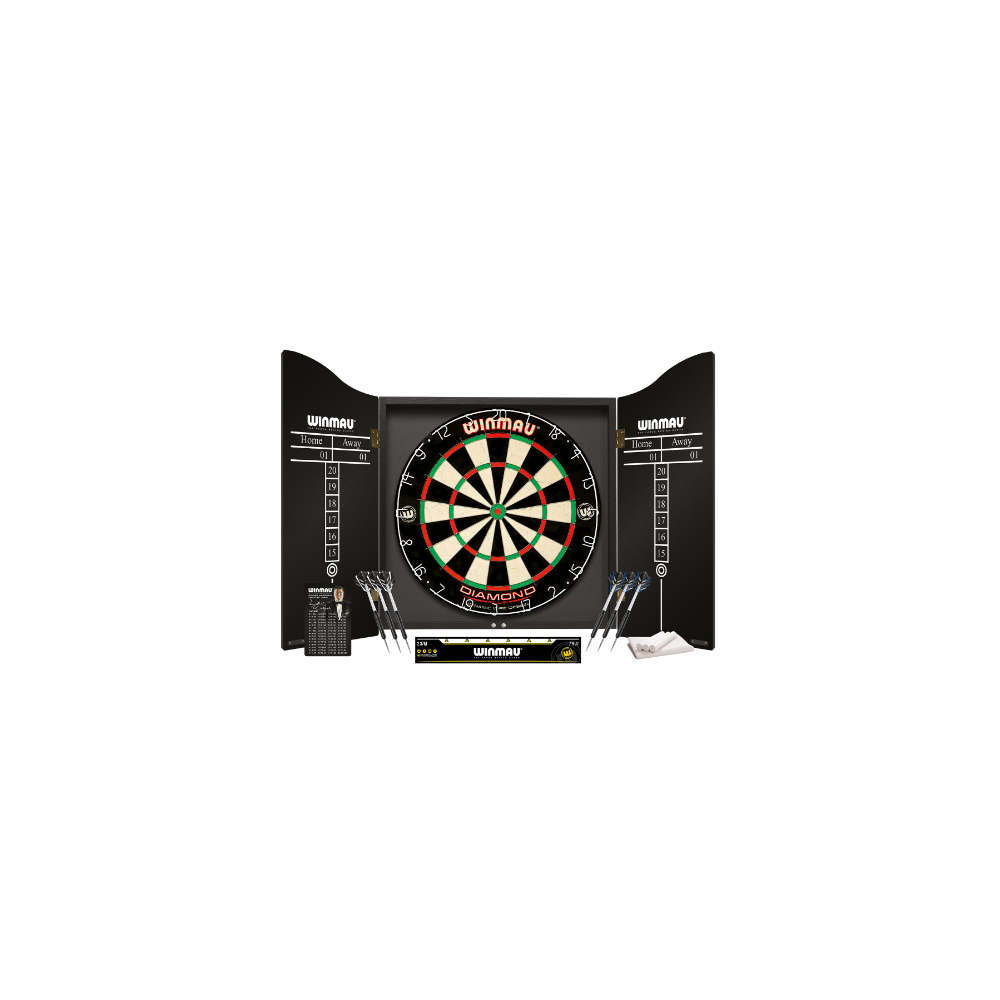 PROFESSIONAL DARTS SET