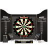 PROFESSIONAL DARTS SET