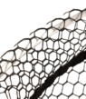X LARGE LANDING NET FULL MESH - SHIMANO